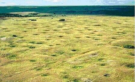 Каргалинские рудники. фото из Интернета