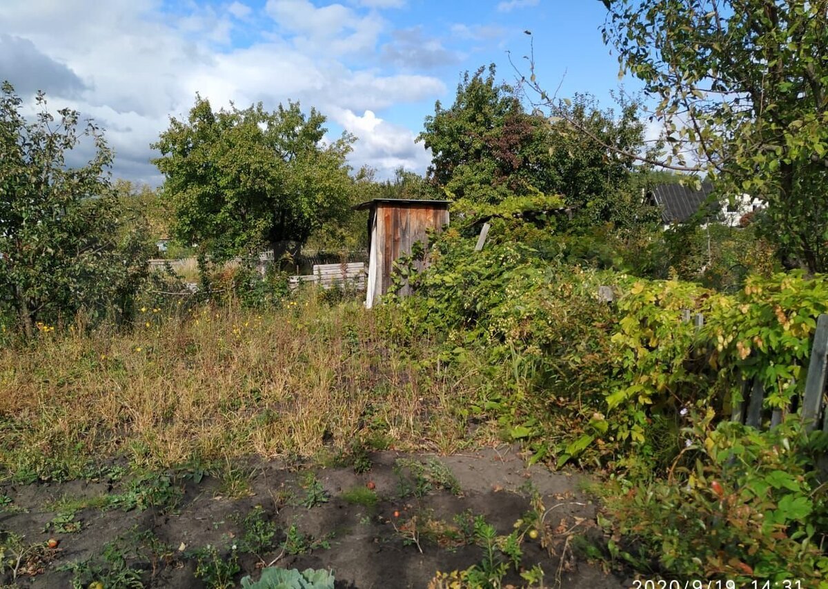 источник картинки https: yandex.ru