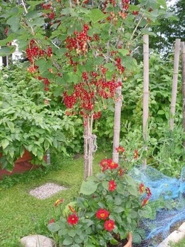 Фото из открытых источников