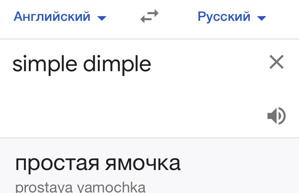 Скриншот из переводчика