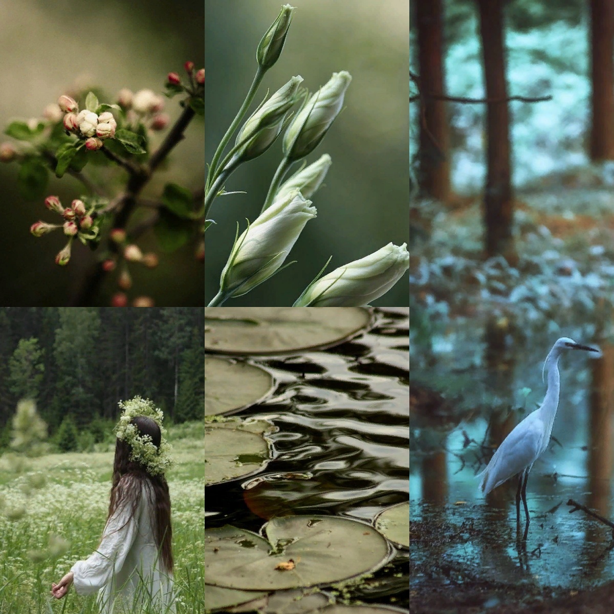 Неделя выхода из коридора Затмений