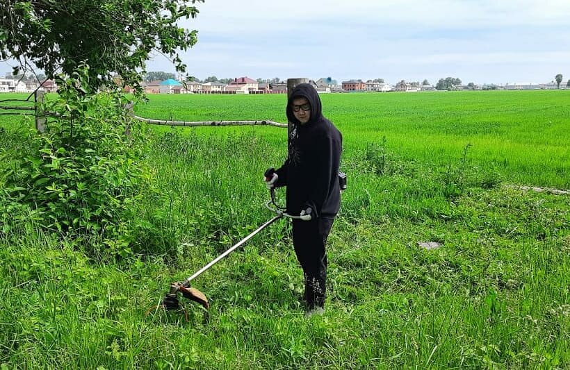 Век трава не расти