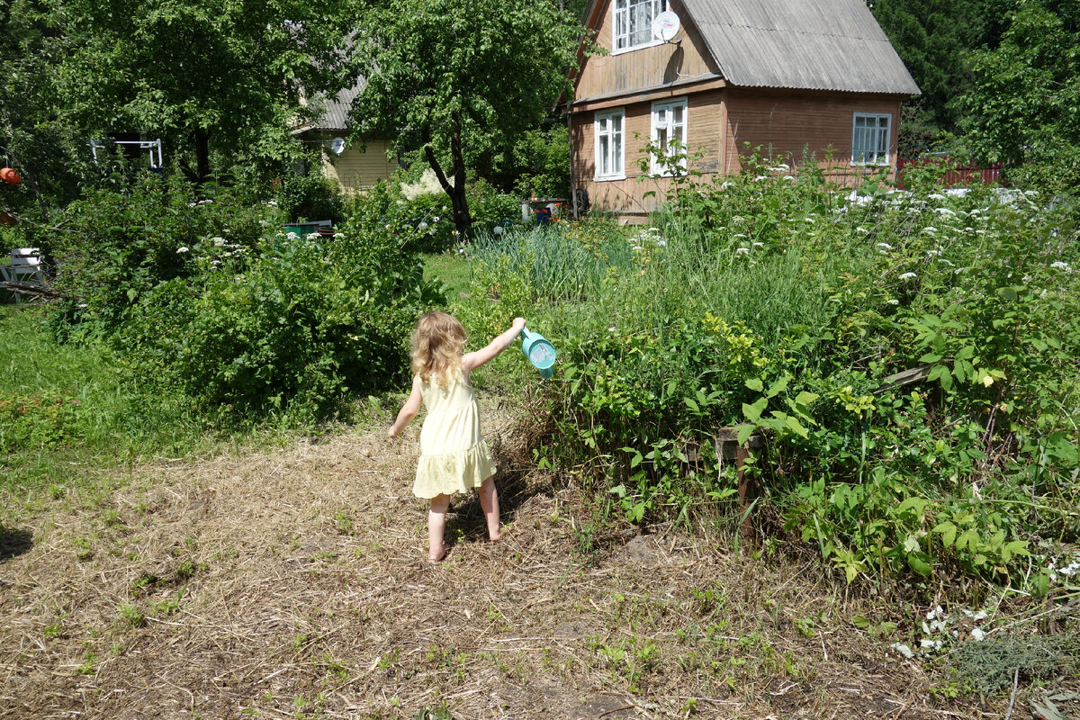 Дочь поливает сорняки, дом и участок на заднем плане соседские