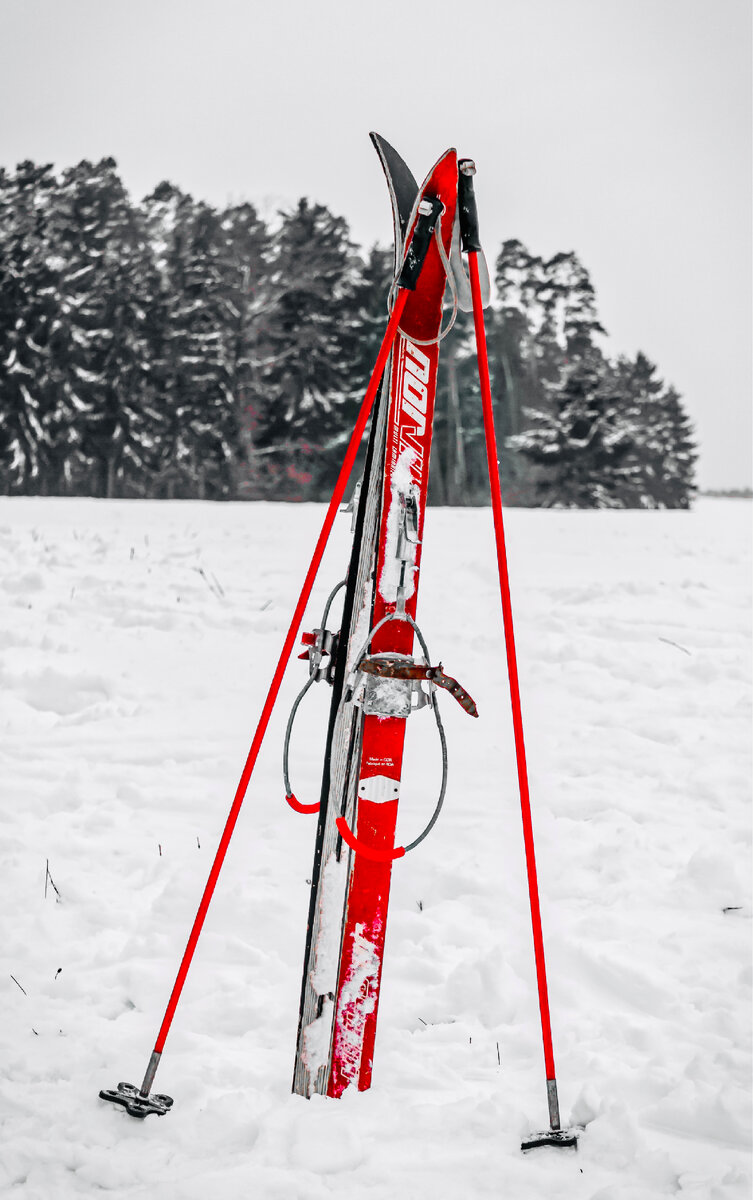 Прогулочные лыжи. https://get.pxhere.com