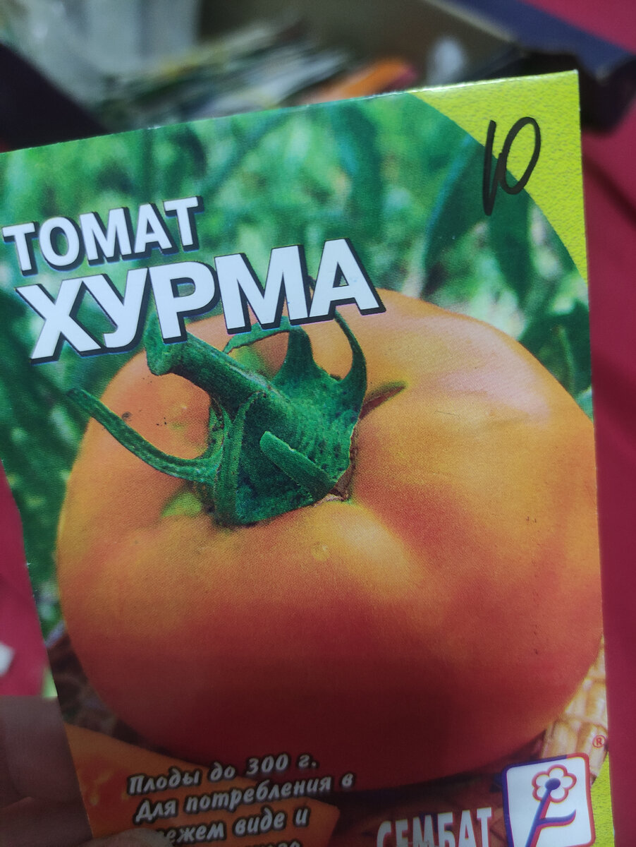 Хурма - сорт. В этом году хочу оставить свои семена