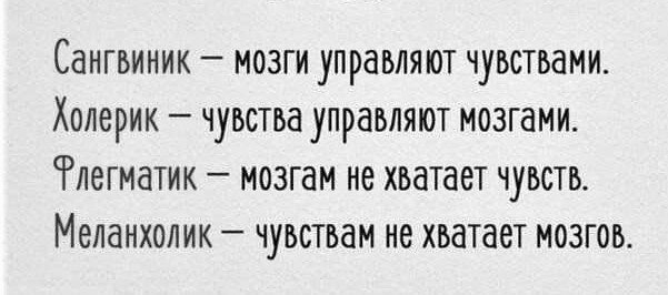 Мозги VS Чувства 