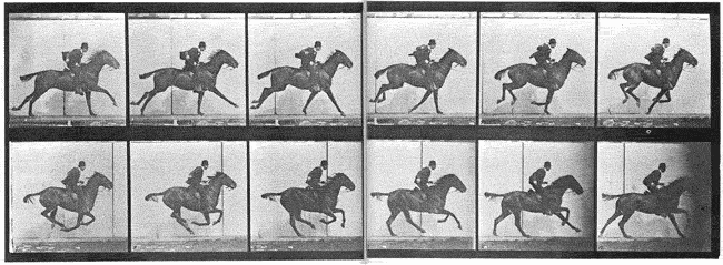Muybridge horse gallop 