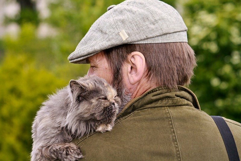 Человек и кошка картинки