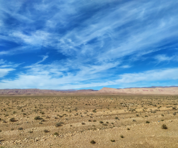 Виды из автобуса