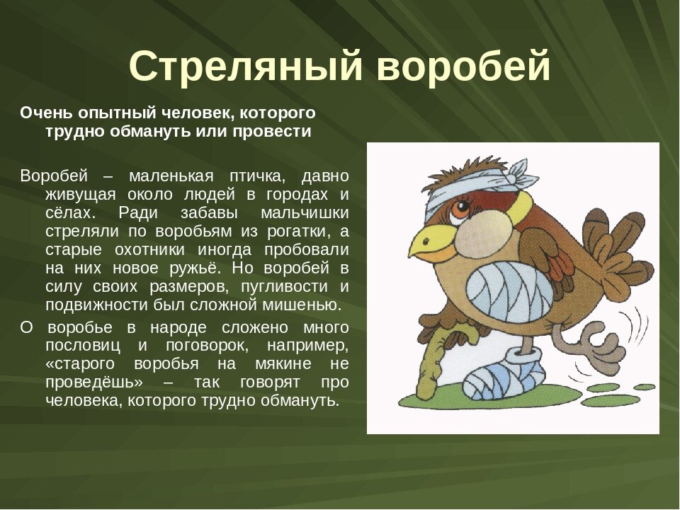 Стреляный воробей тертый калач значение. Стреляный воробей значение фразеологизма. Фразеологизм тертый калач. Тертый калач синоним фразеологизм. Опытный человек фразеологизм.