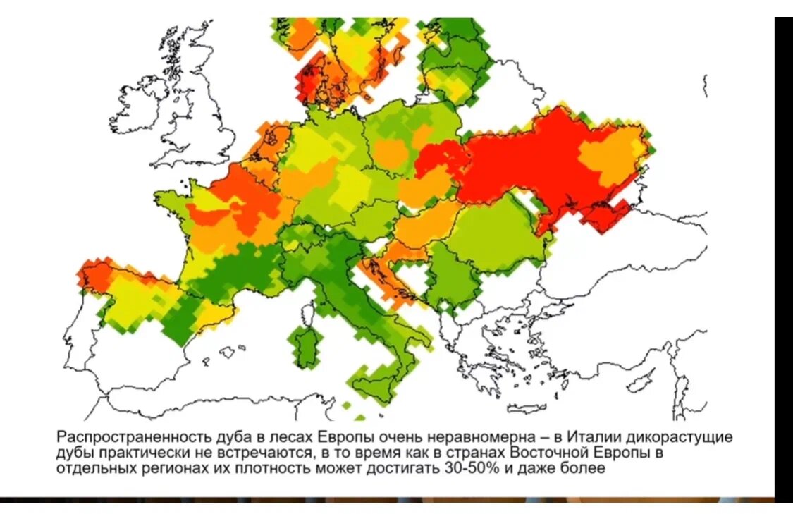 Карта цветения березы в россии по регионам