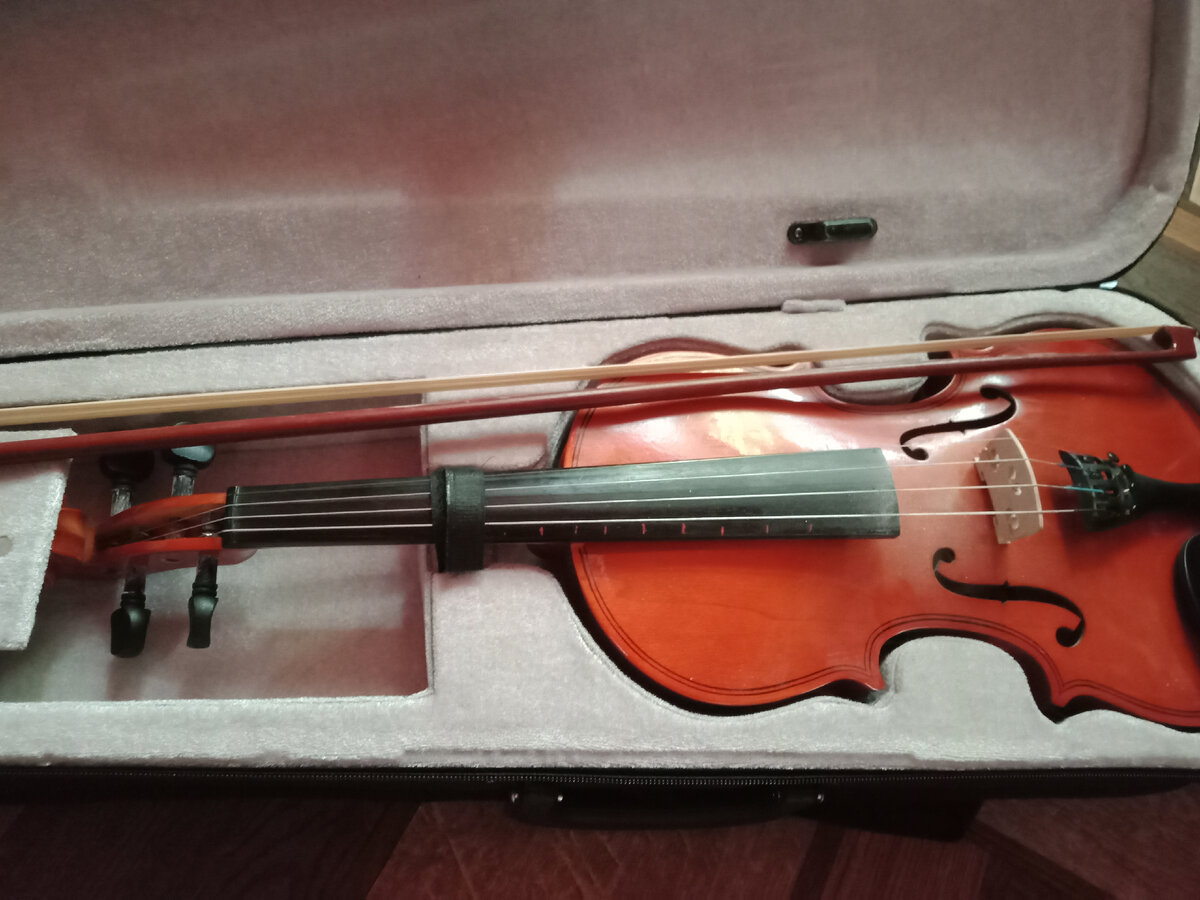 Скрипка с озон