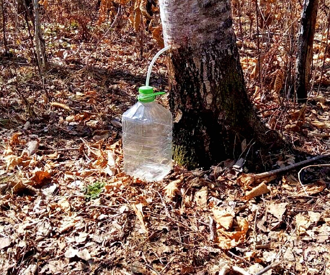 Фото для иллюстрации из открытых источников