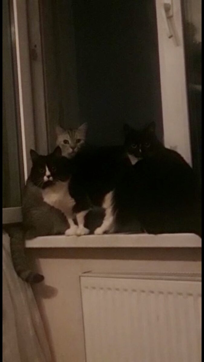 Переезжаем??🙀