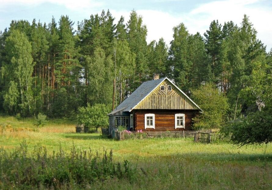 Фото это просто картинка для фона.