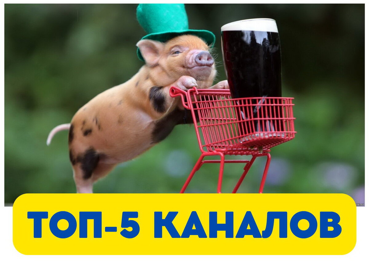 Изображение взято из открытых источников интернета.