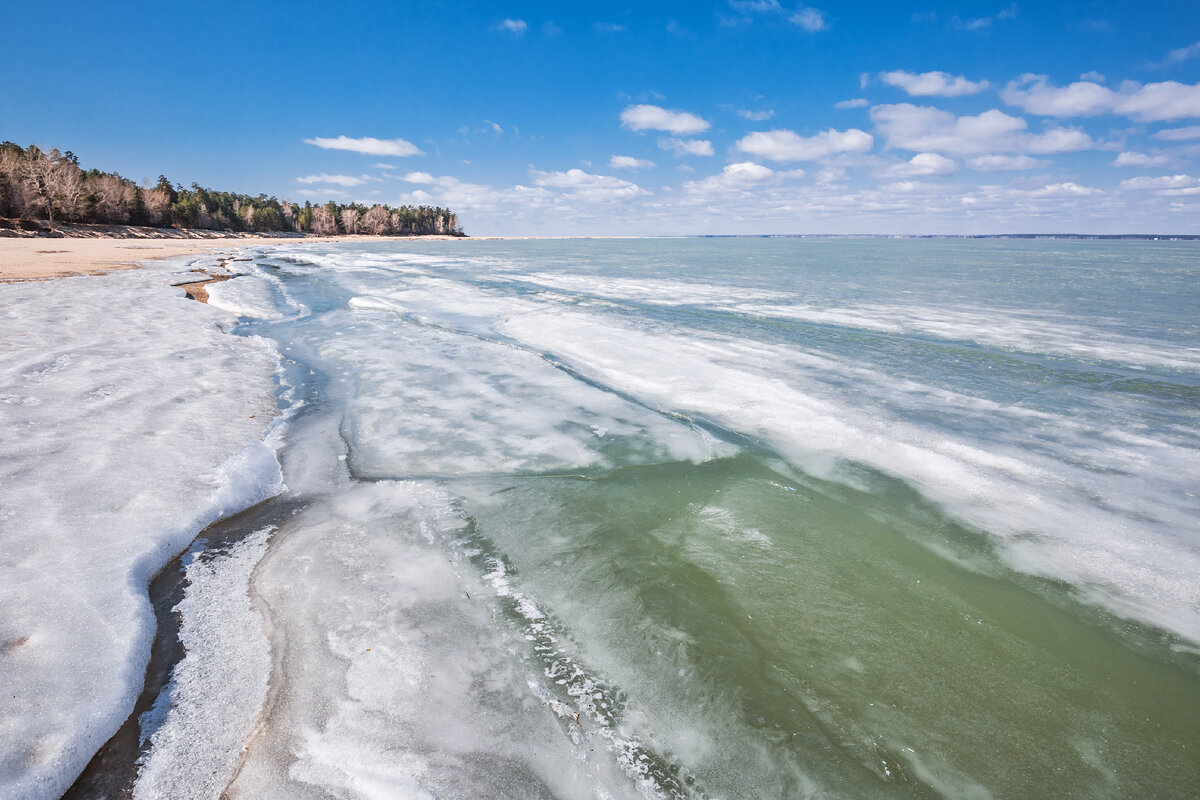 Обское водохранилище новосибирск сегодня