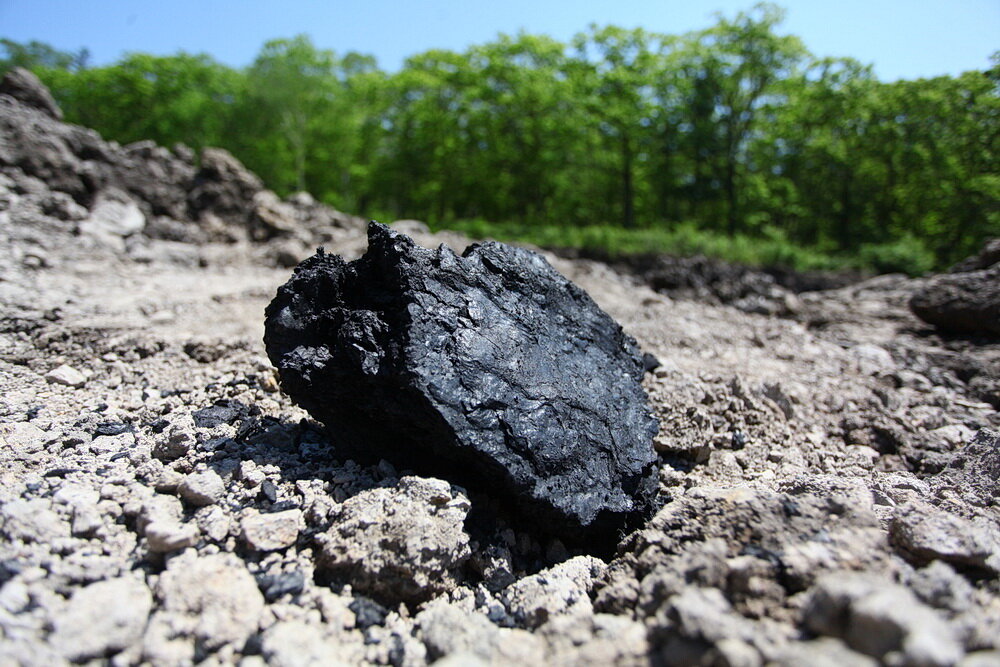 Уголь каменный челябинск. Леонардит и бурый уголь. Каменный и бурый уголь. Уголь в природе. Каменный уголь в природе.