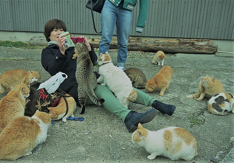 Изображение взято из поисковой системы google