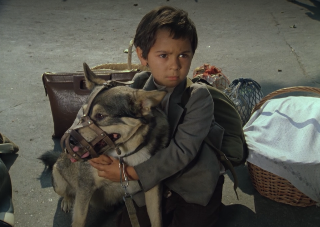 Кадр из кинофильма "Мужики", 1981 г., режиссер Искра Бабич, сценаристы Искра Бабич, Валентин Михайлов, композитор Владимир Комаров (скриншот)