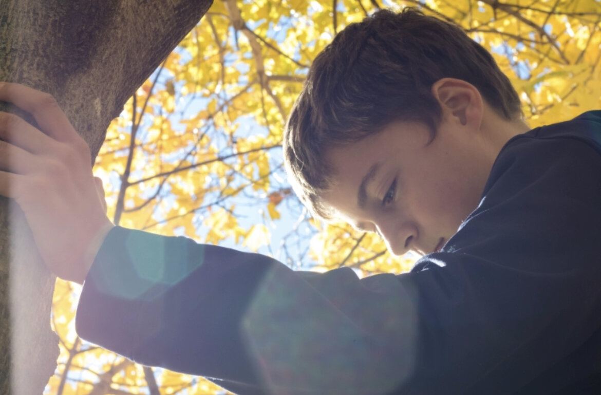 Источник pexels.com