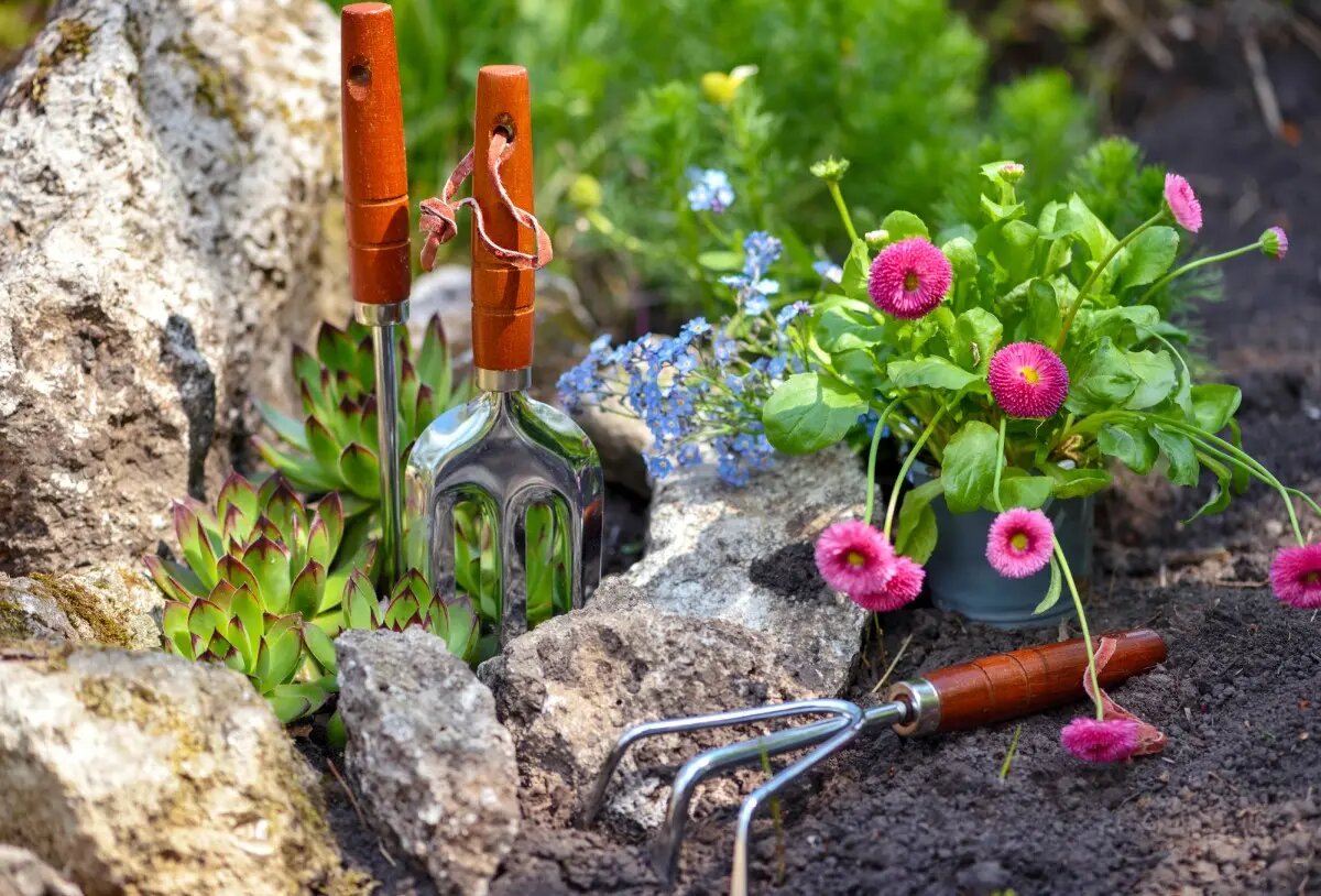     Какие растения выбрать?