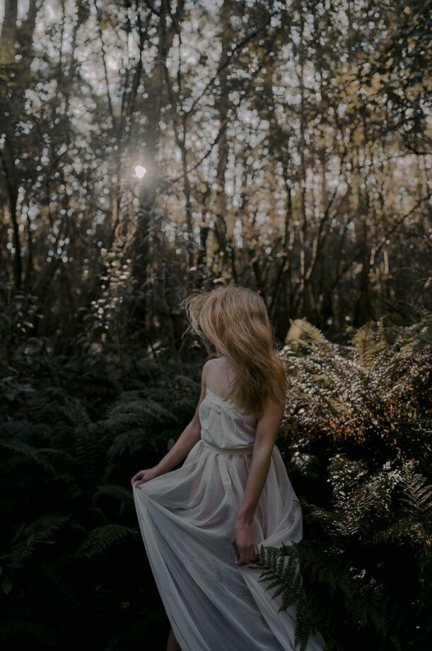 Иллюстрация из свободных источников