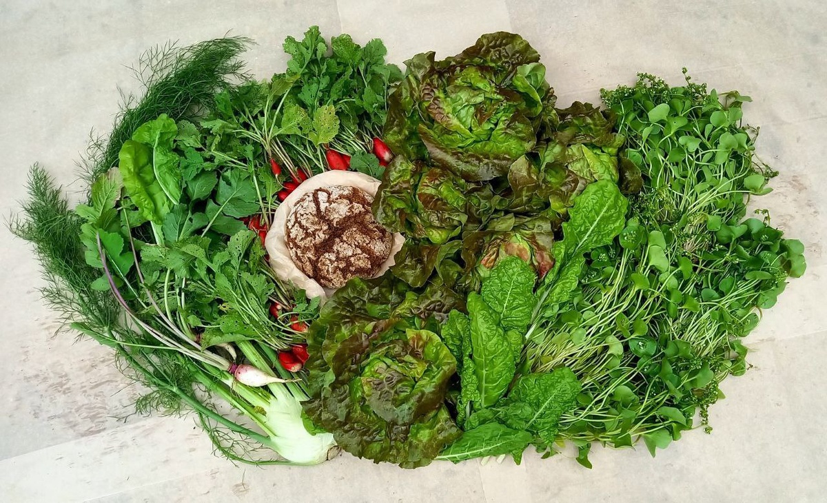 Свежий состав корзины от "Клуба живой еды"