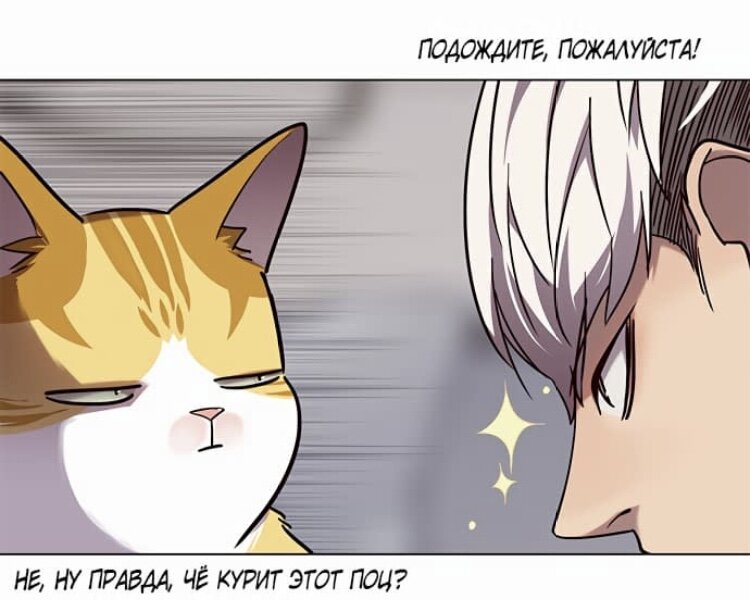 Кайден элисед. Мэттью яой. Маньхуа люблю и ненавижу. Элисед манхва кот. Крик манхва яой.