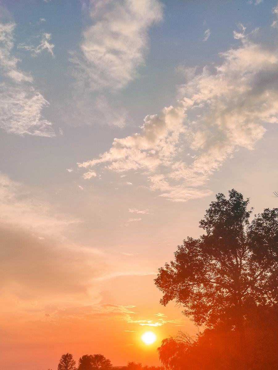 #sunsetcatcher