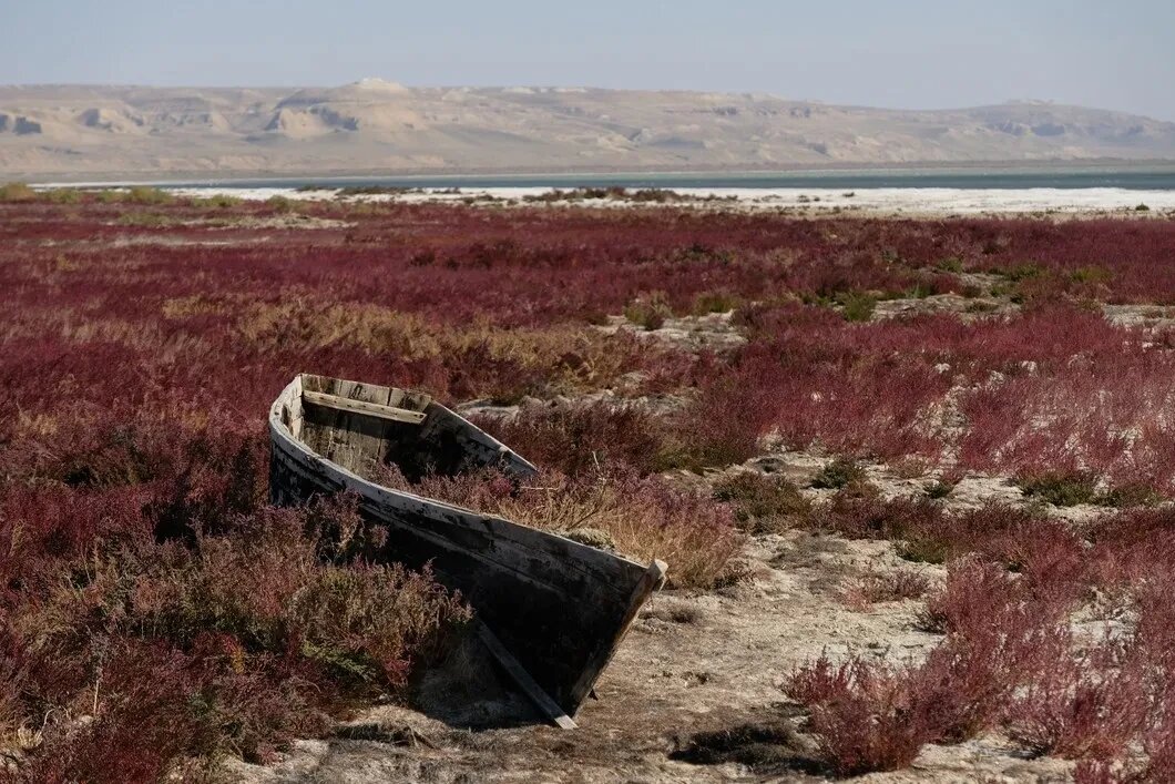 Аральское море фото по годам