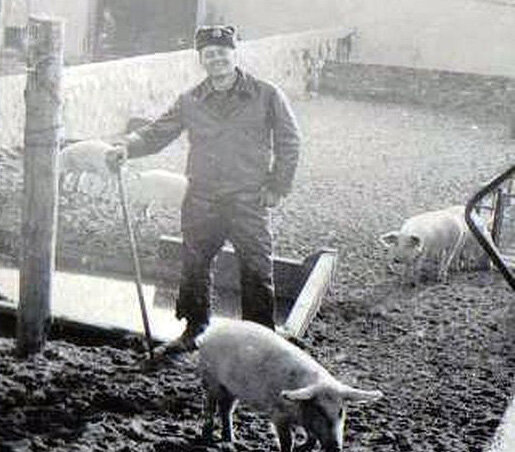 фото из интернета.