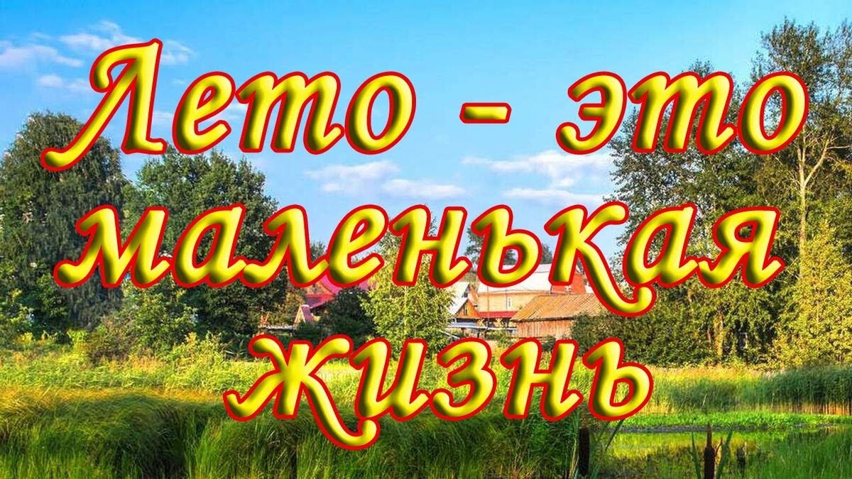 Лето это маленькая жизнь картинки