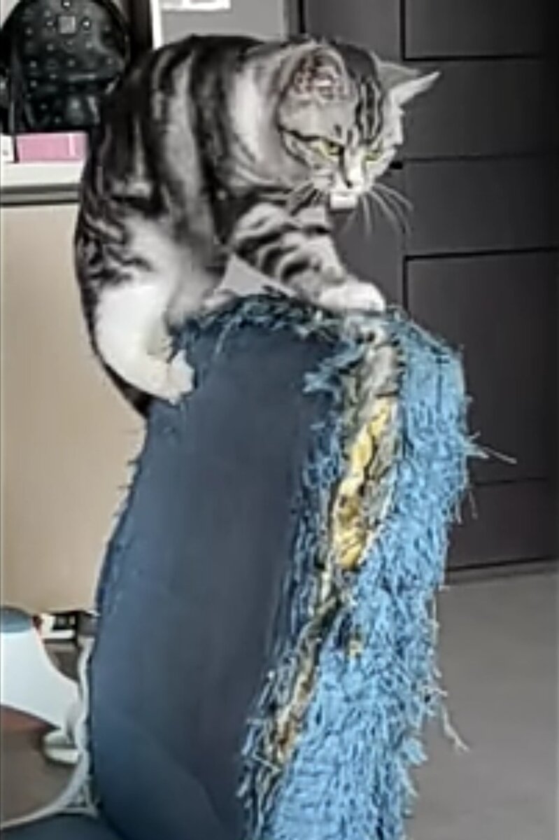 Фото взято из соц.сети