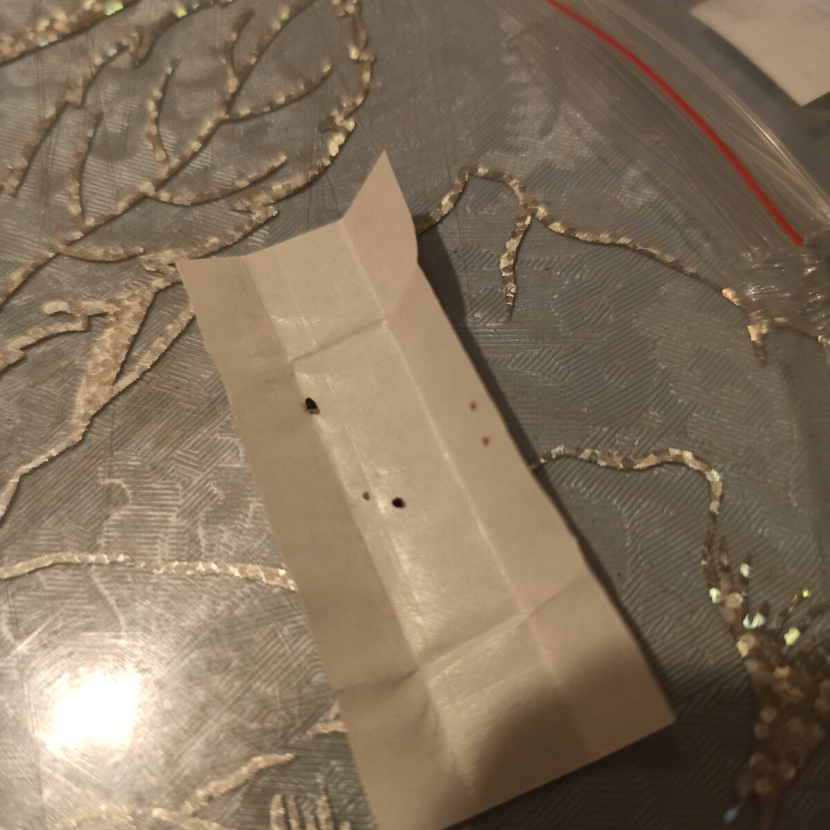 По сравнению с семенами ребуции