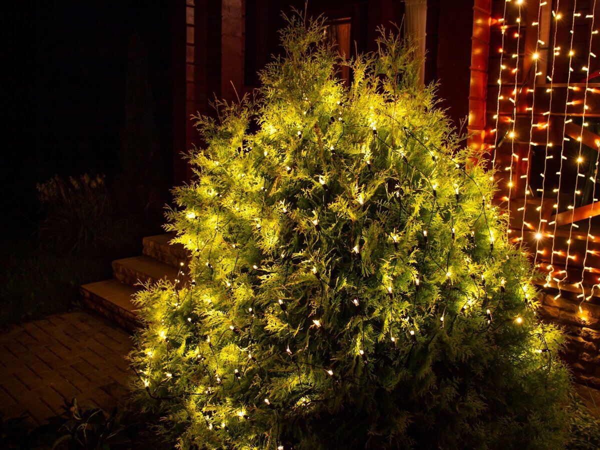 Гирлянда светодиодная "Сетка" отлично подходит для украшения кустов