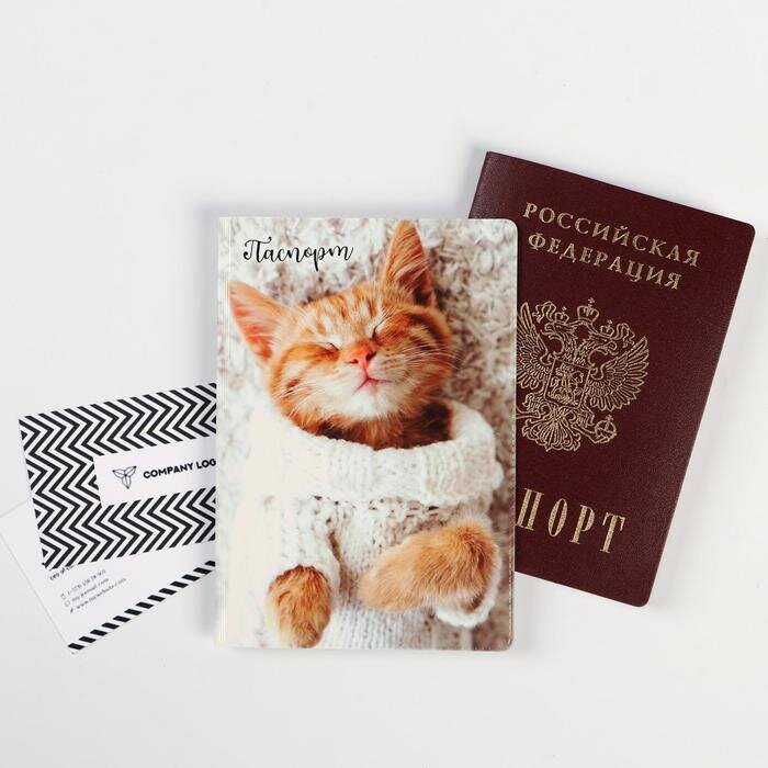 😼Ветеринарный паспорт для кошки: зачем он нужен, где, как и когда его ...