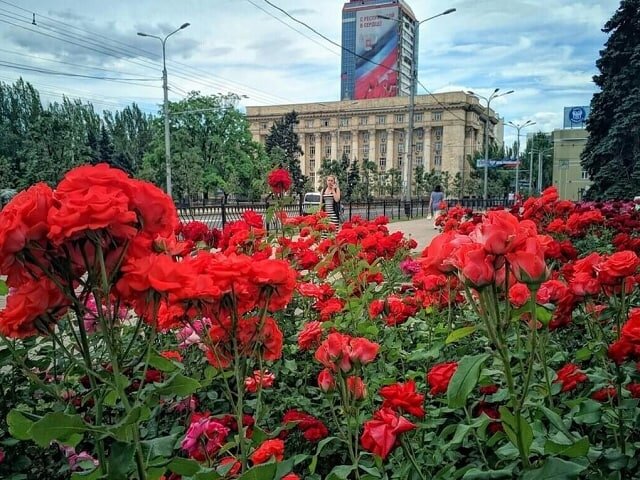 Донецк - город миллиона роз (галерея - стрелка вправо).