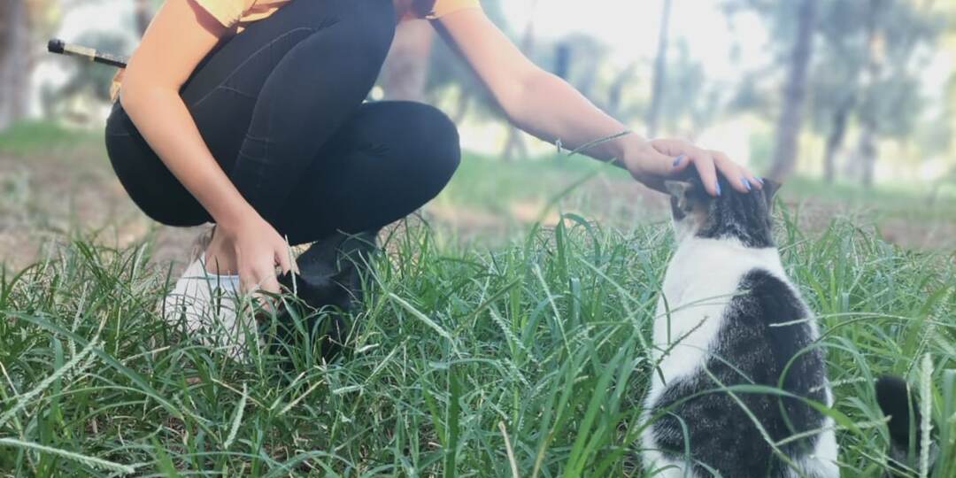 Котейки и Собакены в Анталье.