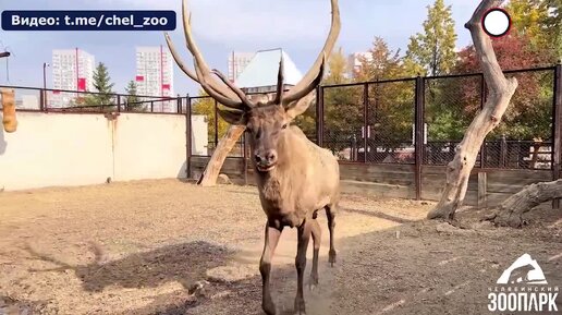 Порно на природе, онлайн видео занимаются сексом на природе.