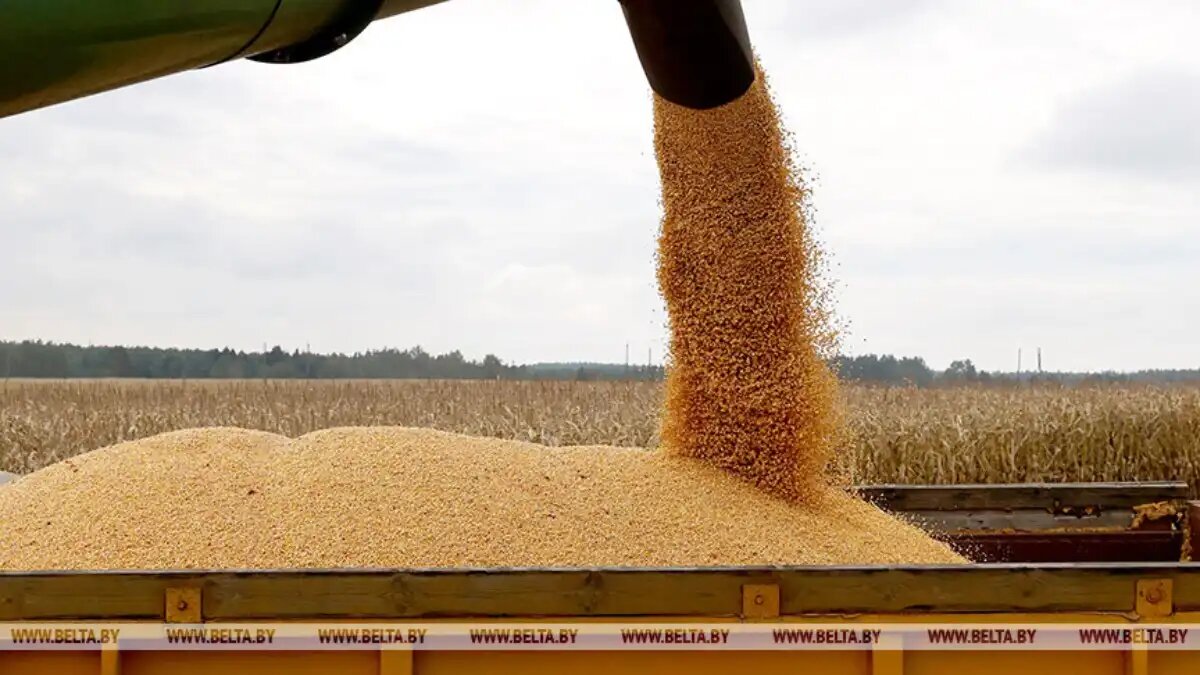 Фото:www.belta.by