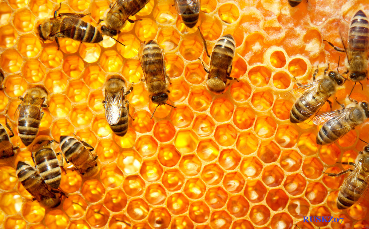 Рабочие моменты 