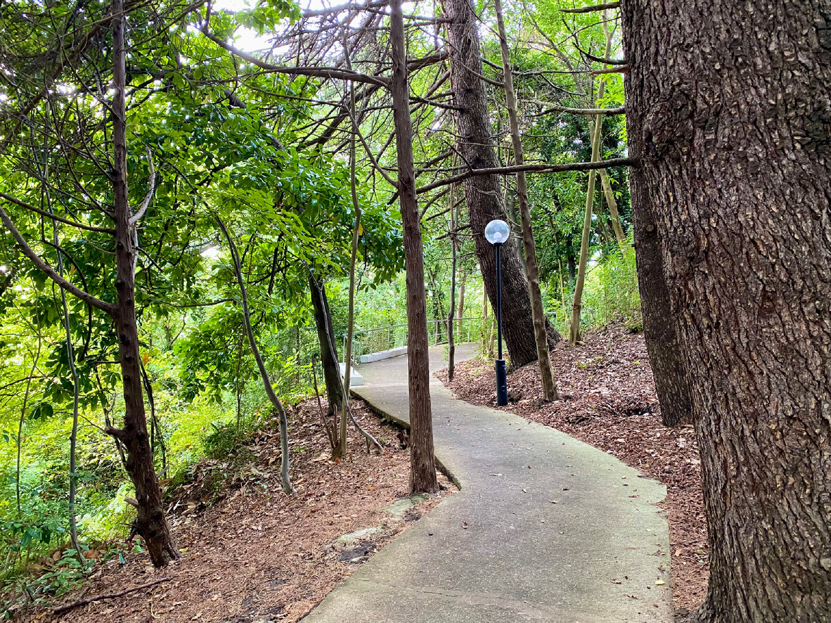 Терренкур «Тропа здоровья» вдоль моря - пешком из Мацесты в Сочи и наши ...