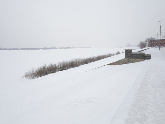     Фото Ксении Высотиной / КП-Томск