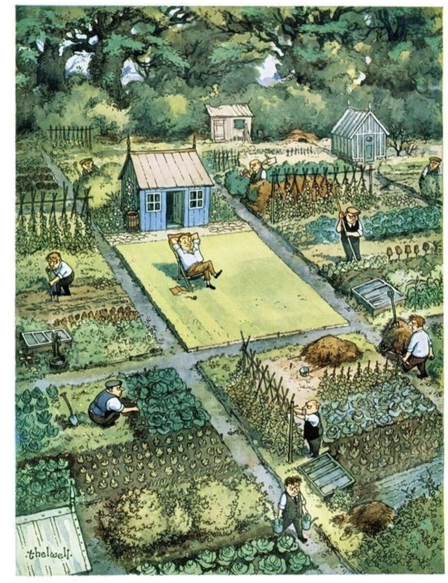 Naerum allotment Gardens
