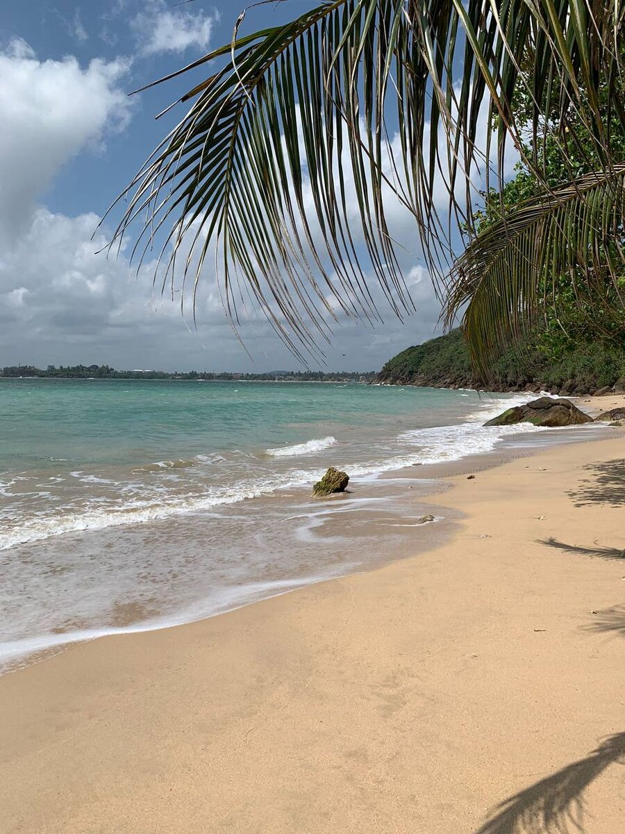 Фотография пляжа в Галле от моих туристов