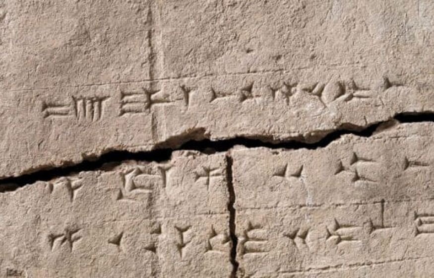    Ученые извлекли древнюю ДНК из глиняного кирпича возрастом 2900 лет