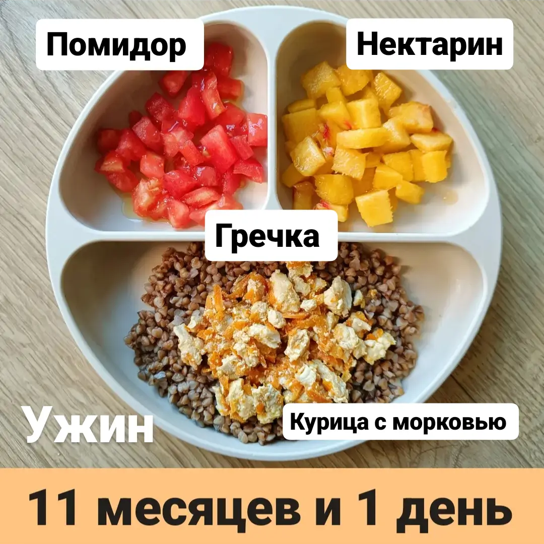 Пример тарелки в 11 месяцев 