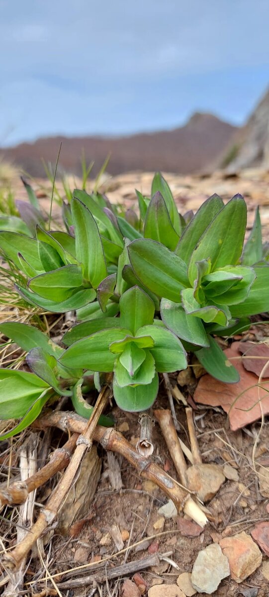 Из личного архива 