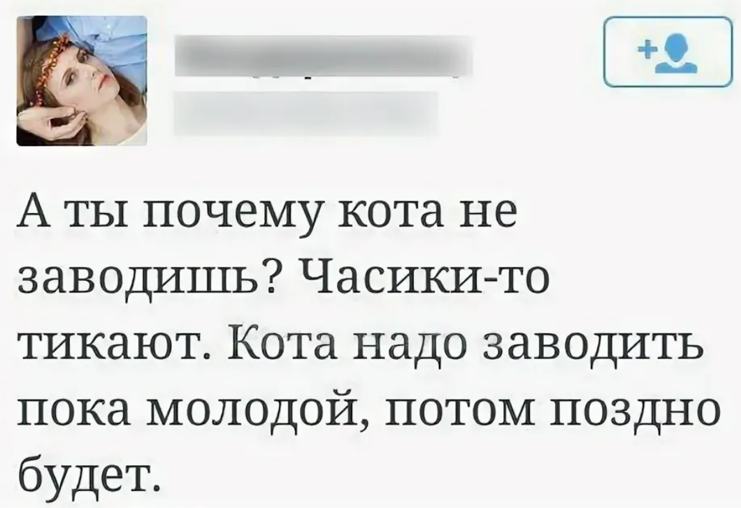 Часики тикают. Часики то тикают. Заведи кота часики то тикают. Шутки про часики тикают. Анекдот про часики то тикают